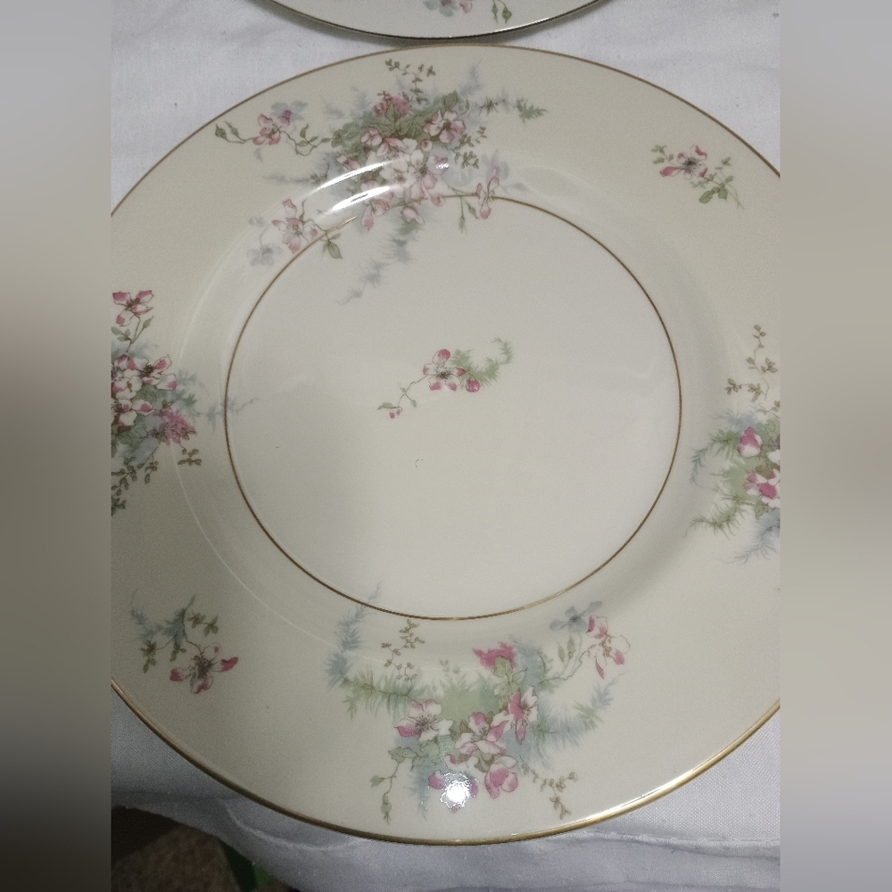 Pair Of Theodore Haviland New York dinner plates. Apple Blossom pattern - Picture 4 of 9